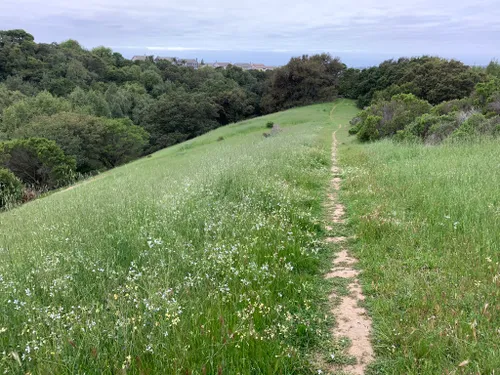 2023 Best 10 Trails And Hikes In Castro Valley Alltrails 7470