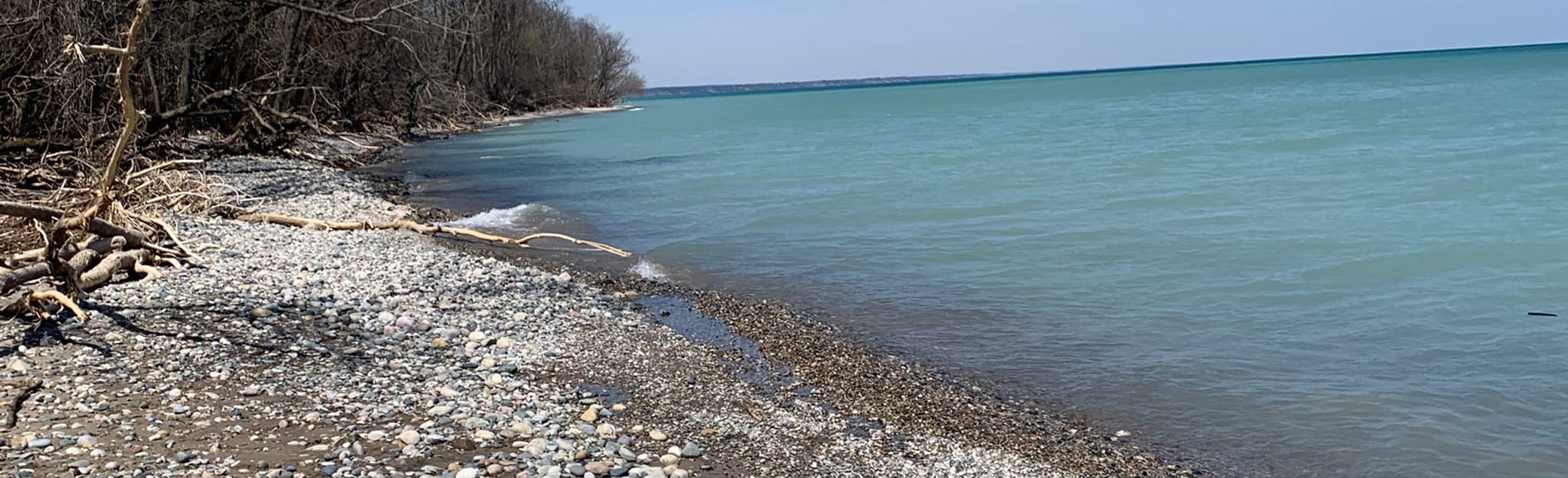 Fox Point Loop 124 Reviews, Map Wisconsin AllTrails