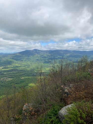 are dogs allowed at fort mountain state park