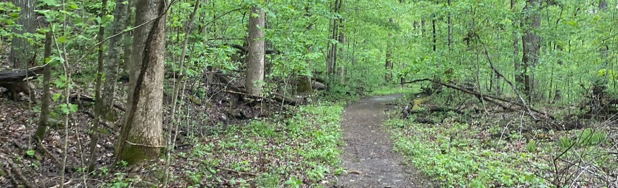 Monte Sano Mountain via South Monte - EyJidWNrZXQiOiJhc3NldHMuYWxsdHJhaWxzLmNvbSIsImtleSI6InVwbG9hZHMvcGhvdG8vaW1hZ2UvMjYwMzM0ODUvOTRiNTYyNGYzNmMzZjgwMDkxOGU5NGQ5ZTEzZGM2M2MuanBnIiwiZWRpdHMiOnsidG9Gb3JtYXQiOiJqcGVnIiwicmVzaXplIjp7IndpZHRoIjoyMDQ0LCJoZWlnaHQiOjYyNCwiZml0IjoiY292ZXIifSwicm90YXRlIjpudWxsLCJqcGVnIjp7InRyZWxsaXNRdWFudGlzYXRpb24iOnRydWUsIm92ZXJzaG9vdERlcmluZ2luZyI6dHJ1ZSwib3B0aW1pc2VTY2FucyI6dHJ1ZSwicXVhbnRpc2F0aW9uVGFibGUiOjN9fX0=