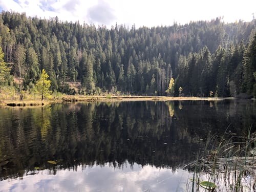 Rund um den Kleinhahnberg
