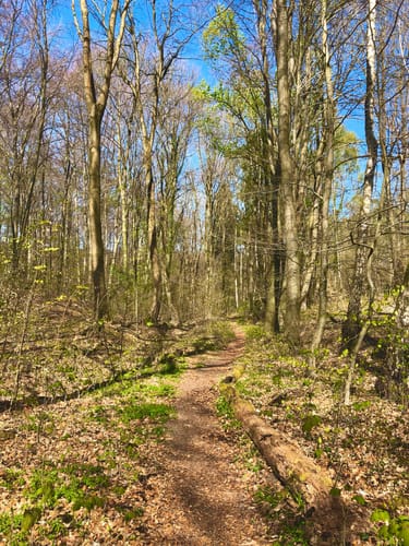 darf mn auf den lappwald rundwanderwegen auch fahrrad fahren