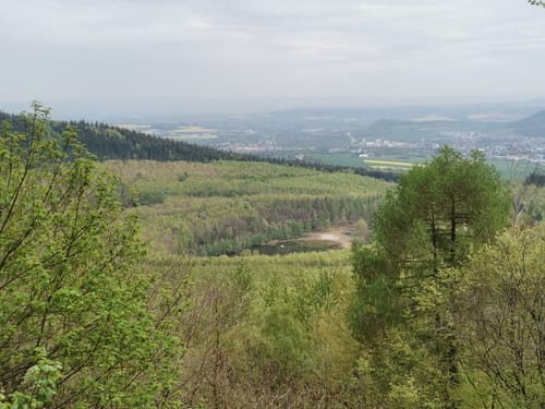 Laacher See Rundweg ab Nickenich
