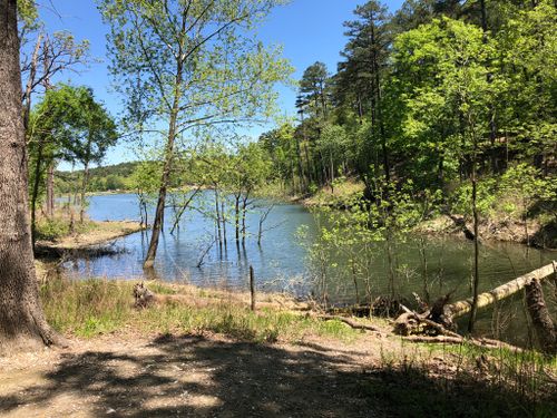 Beavers Bend State Park Hiking Best 10 Trails In Beavers Bend State Park | Alltrails