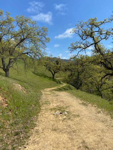 2023 Best 10 Trails In Joseph D Grant County Park Alltrails 9650