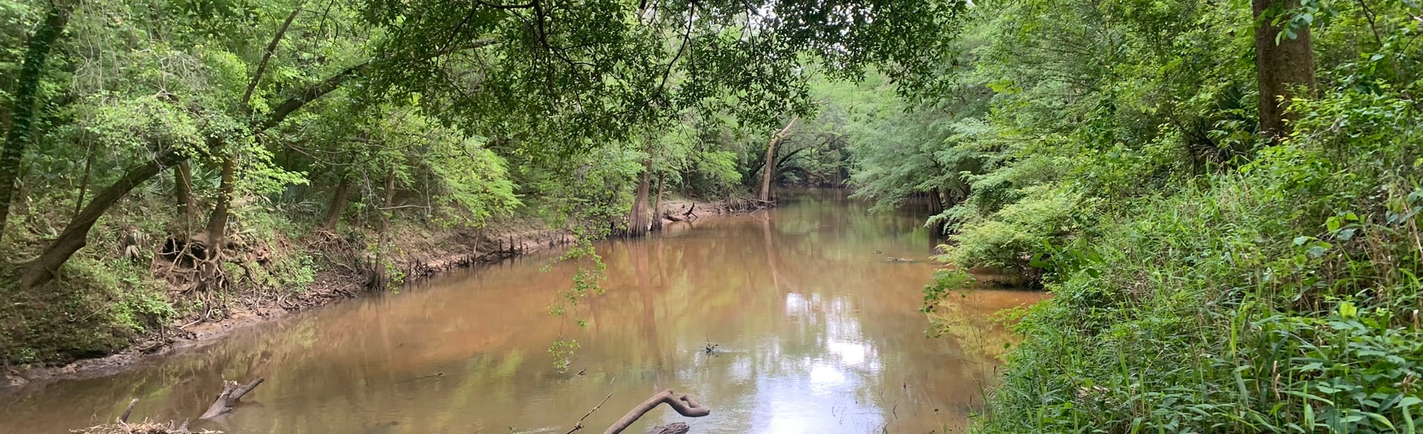 Creekside Trail Map, Guide Alabama AllTrails