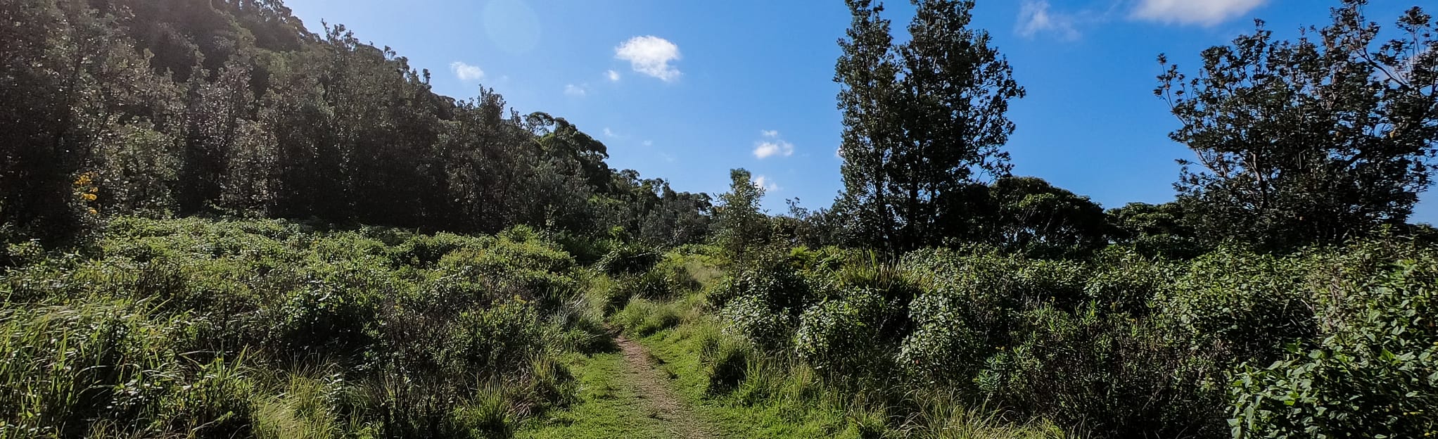 Coalcliff to Austinmer 75 Reviews, Map New South Wales, Australia