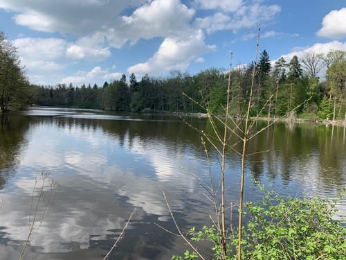 Bärensee Rundweg