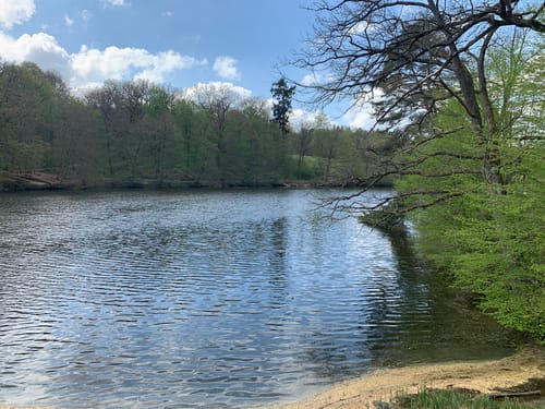 Bärensee Rundweg