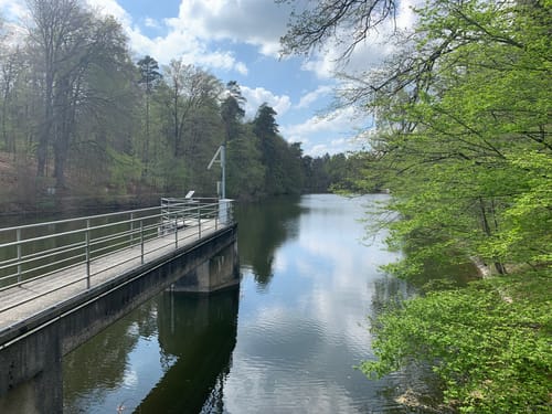 Bärensee Rundweg