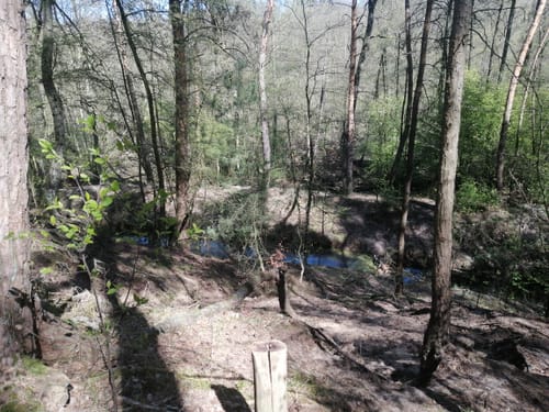 Naturlehrpfad Schutzgebiet Blankenfelder See und Dahlewitzer Heide