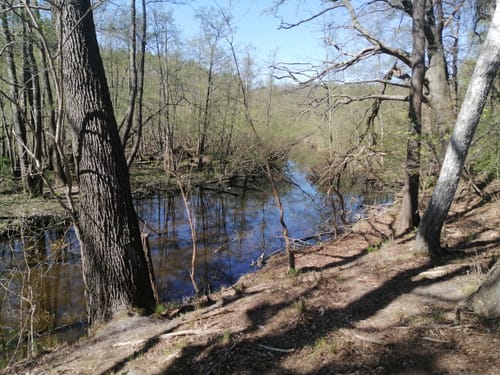 Naturlehrpfad Schutzgebiet Blankenfelder See und Dahlewitzer Heide
