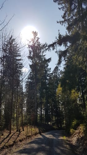 Rund um Reichenbach