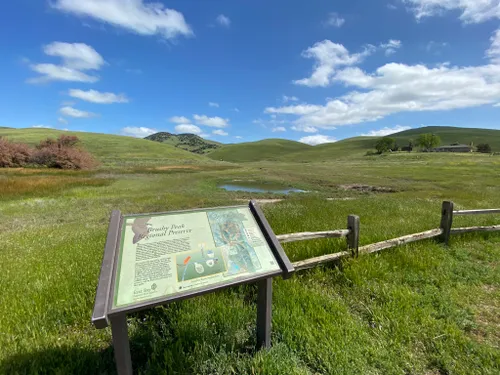 10 Best Trails and Hikes in Livermore | AllTrails