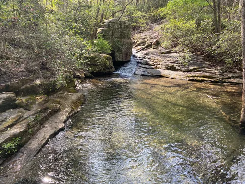 10 Best forest trails in DeSoto State Park | AllTrails