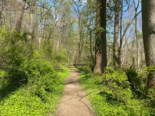 Best Hikes and Trails in Kenealy Nature Park | AllTrails