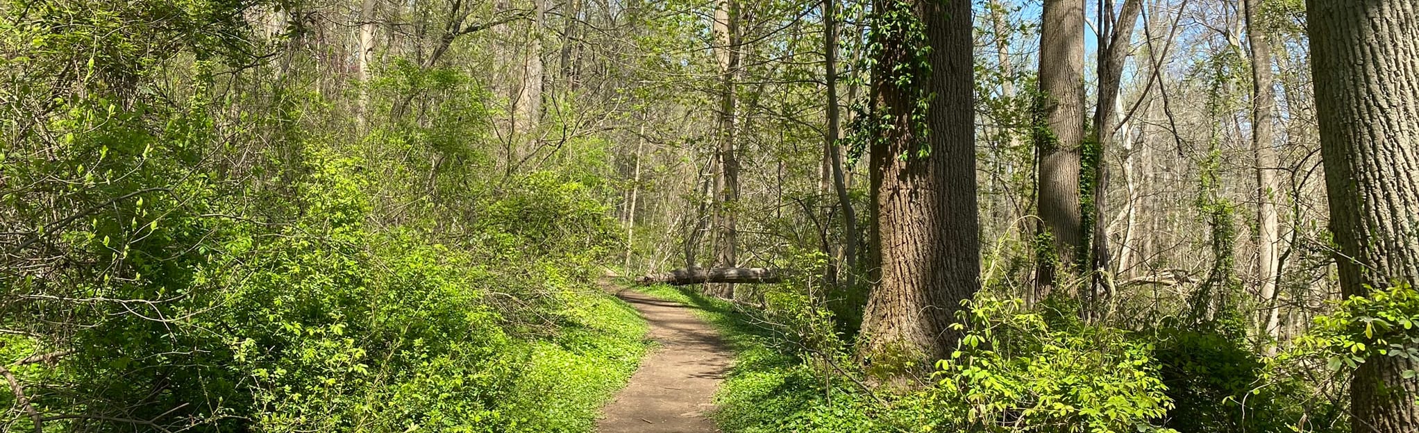 Kenealy Nature Park to Henry Lane Park, Pennsylvania 469 Reviews, Map