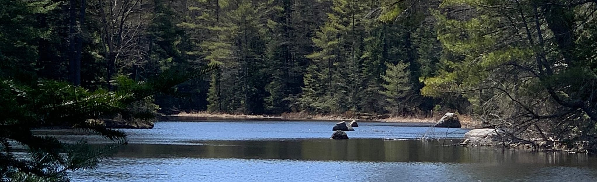 Old River Road and Pine Loop Trail, Maine 38 Reviews, Map AllTrails