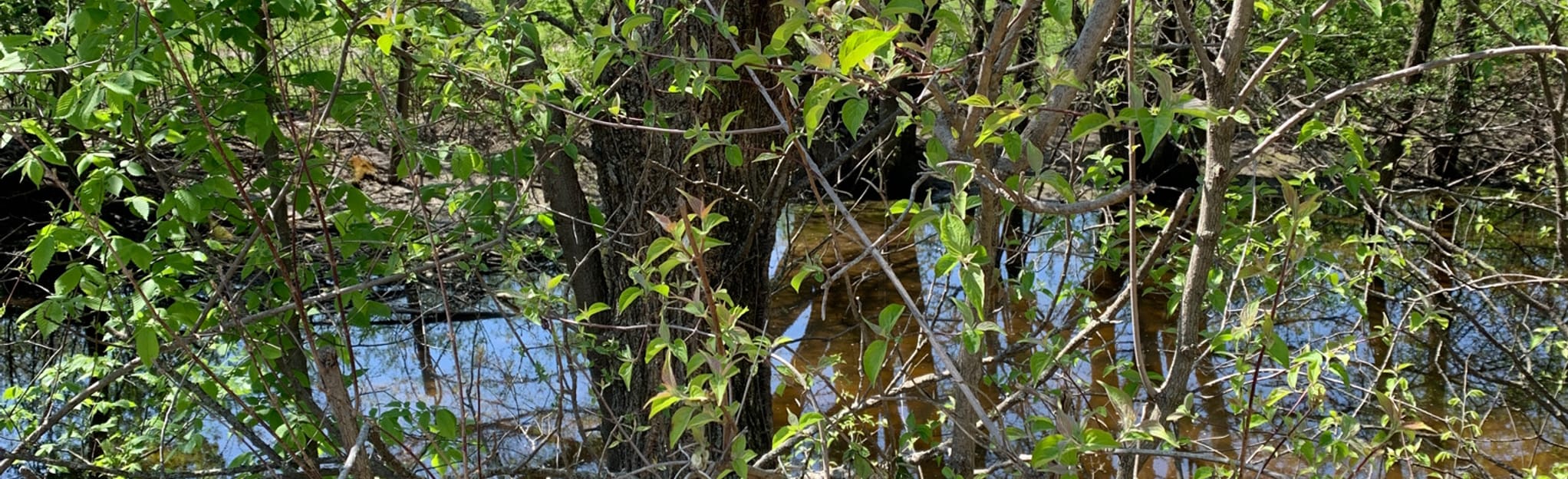 Southwind Rail Trail, Kansas 33 Reviews, Map AllTrails