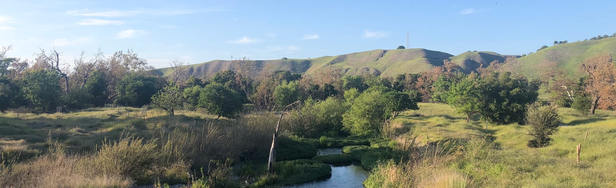 Arroyo Del Valle Regional Trail [CLOSED] Map, Guide California