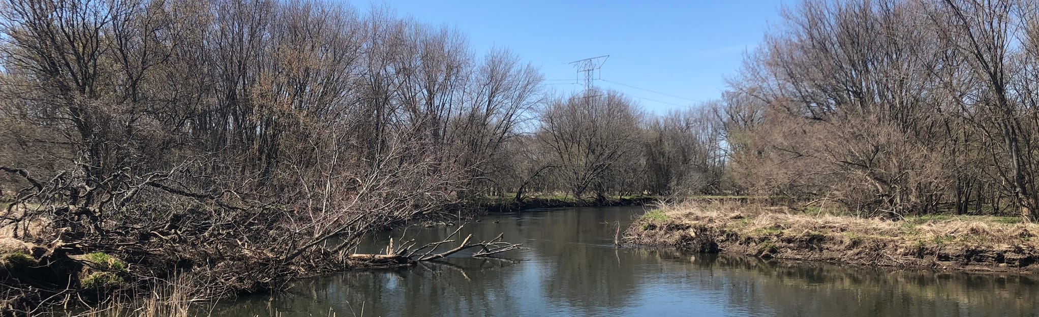Blackhawk Springs and Oak Ridge Forest Preserve Trail, Illinois 147