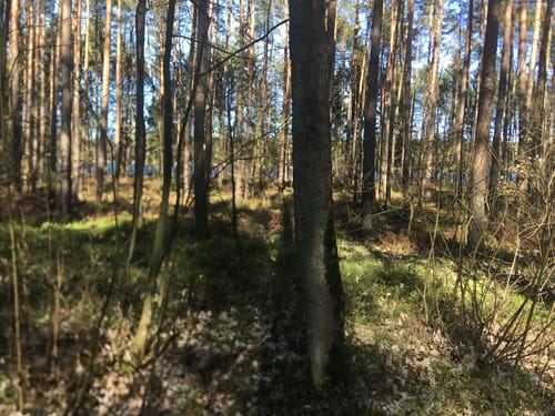 Zum Paschensee