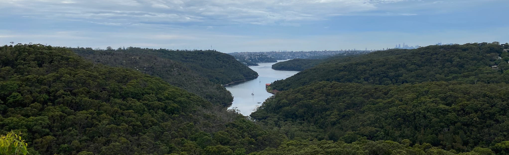 Seaforth Oval to Bluff Lookout 95 Reviews, Map New South Wales, Australia AllTrails