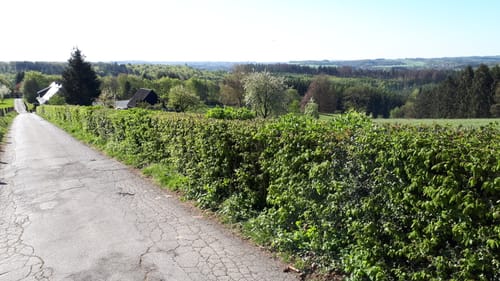 Wildpark Rundweg A3