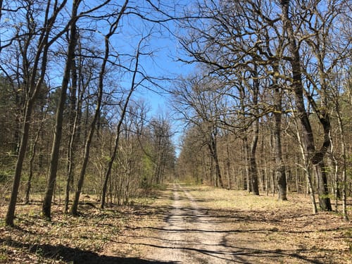 Seebad Rüdersdorf - Fangschleuse Rundweg