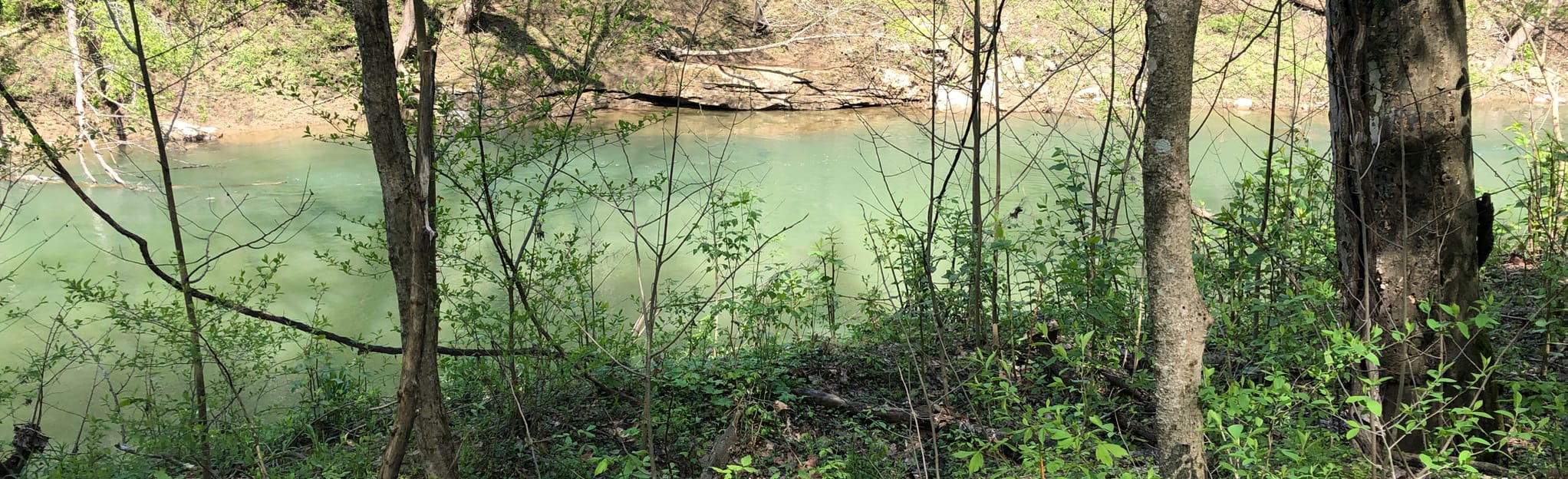 Orange Triangle Trail 63 Reviews, Map West Virginia AllTrails