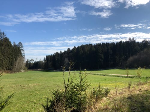 Rundwanderweg Kipfenberg 6: Schanzenweg