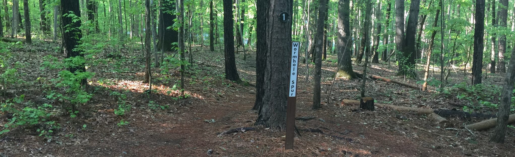 Pumpkin Loop and Farmhouse Spur, North Carolina 22 Reviews, Map