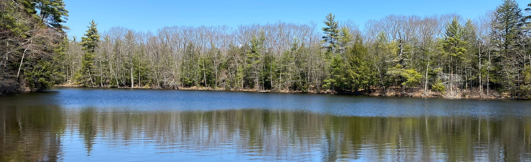 Woods Trail 304 Reviews, Map Maine AllTrails