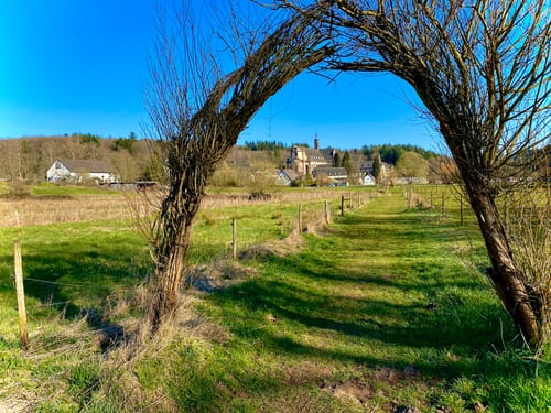 Kloster Himmerod Rundwanderung