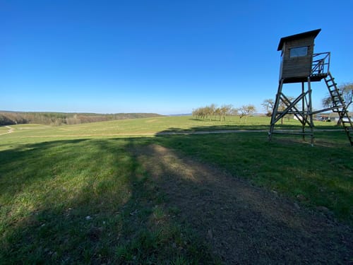 Kloster Himmerod Rundwanderung
