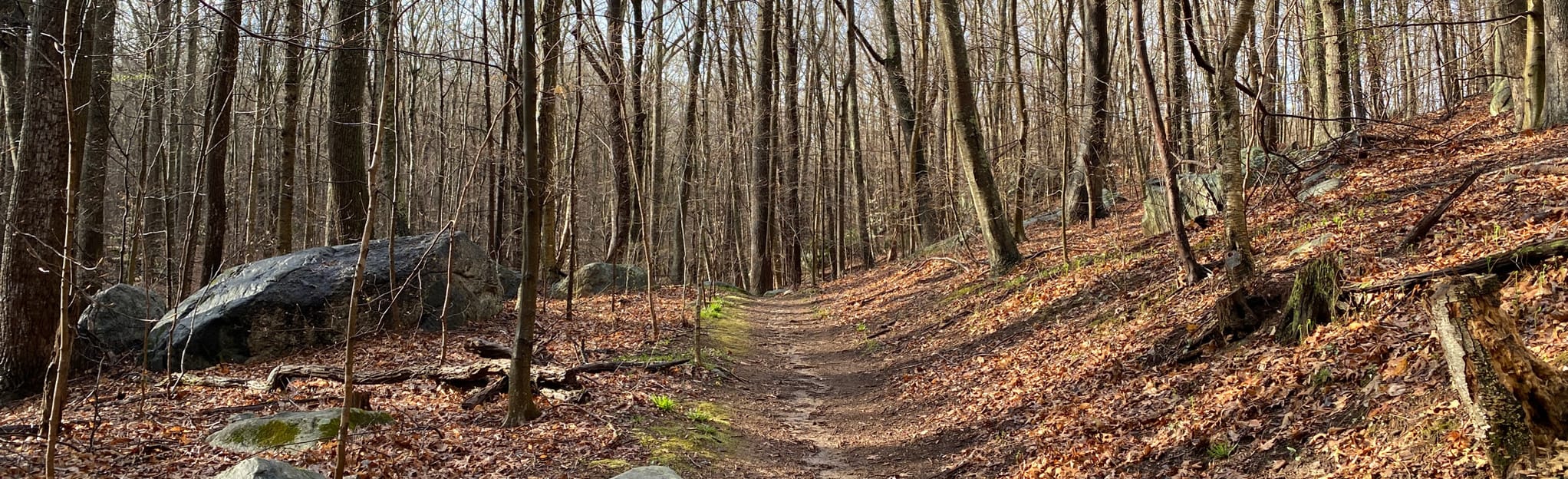 Canfield Dennison to Eagle Ridge, Connecticut 123 Reviews, Map