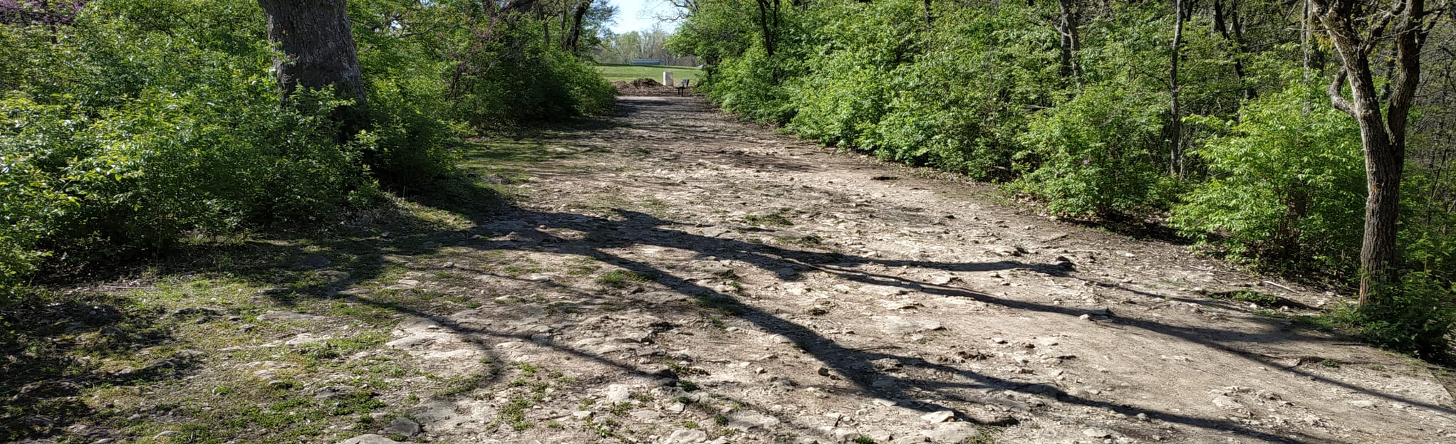 Rosedale Park Loop, Kansas 34 Reviews, Map AllTrails