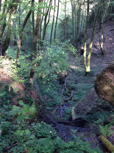 Kälberklamm