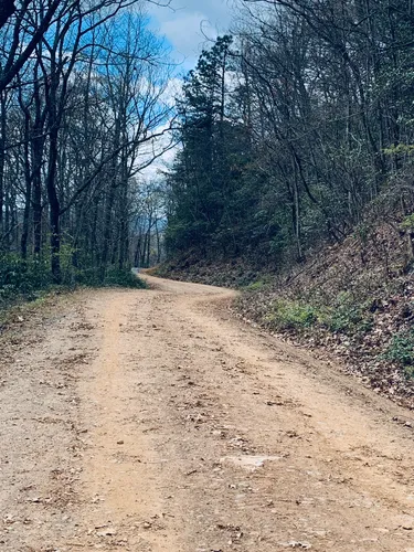 2023 Best 10 Off Road Driving Trails in North Carolina | AllTrails