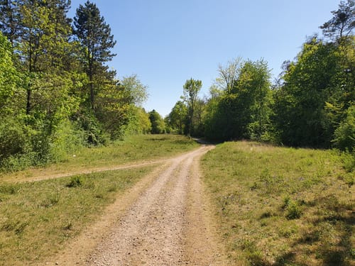 Dossenwald Rundweg Nr. 7