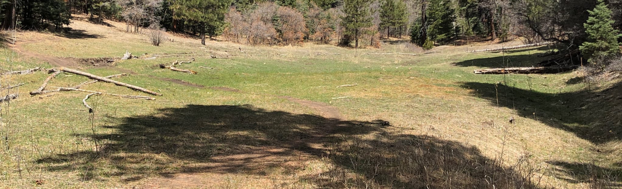 Winsor Trail Big Tesuque Canyon Road to Winsor Trailhead 65 Reviews