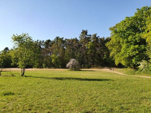 Dossenwald Rundweg Nr. 4