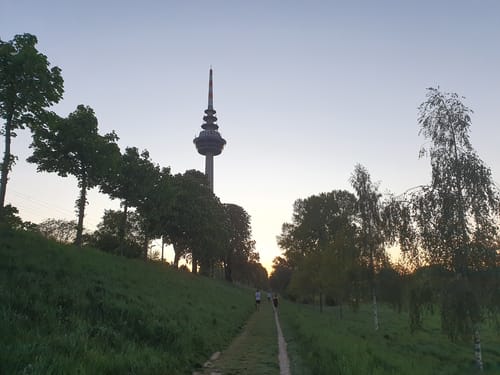 Mannheimer Brückenlauf - 10km