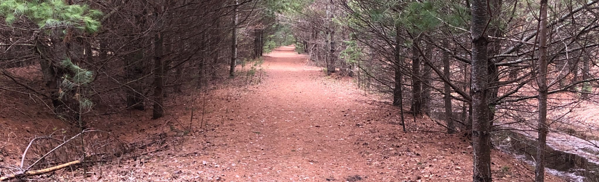 Rail Trail, Michigan 3 Reviews, Map AllTrails