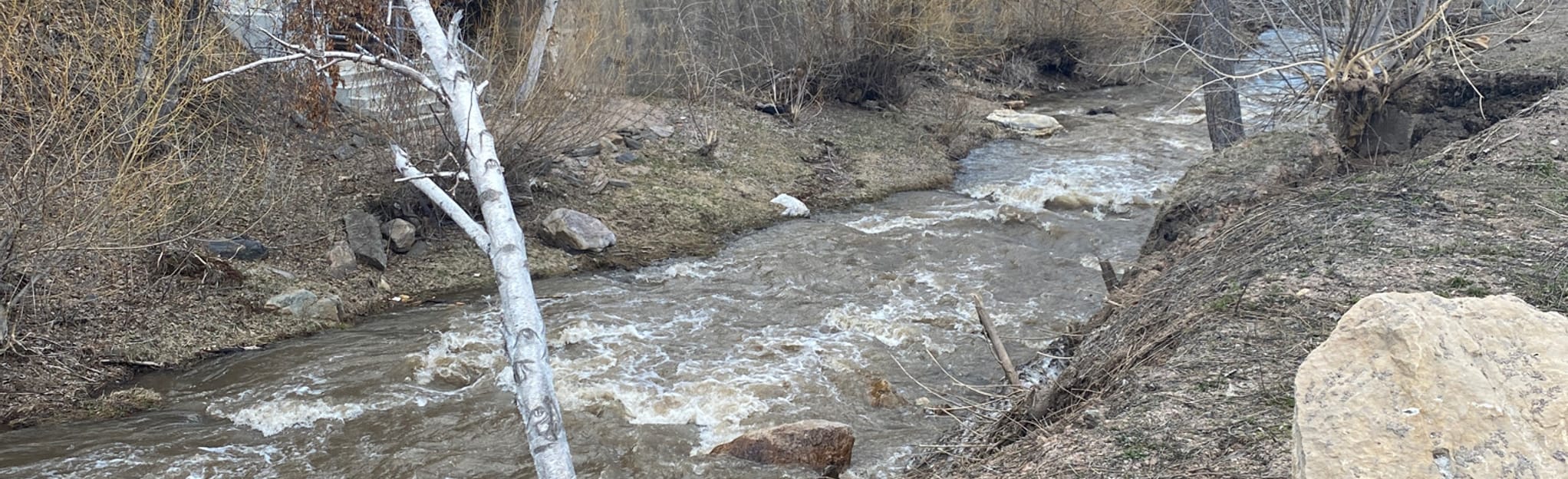 Whitewood Creek Trail 46 Reviews, Map South Dakota AllTrails