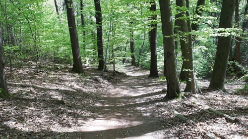 Wildpark Rundweg A3