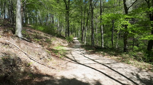 Wildpark Rundweg A3