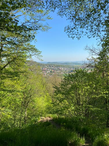 Niedenstein - Altenburg - Elmshagen