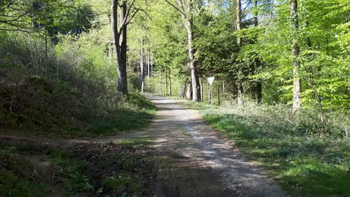 Wildpark Rundweg A3