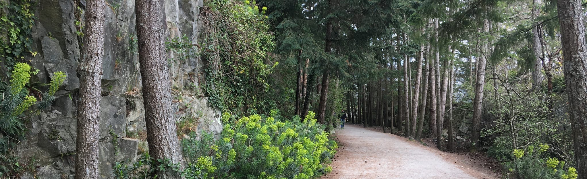 West Vancouver Seaview Walk 105 Fotos Colúmbia Britânica, Canadá